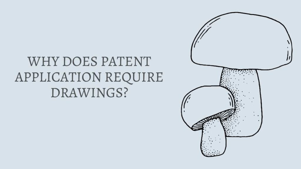 Why Does Patent Application Require Drawings?